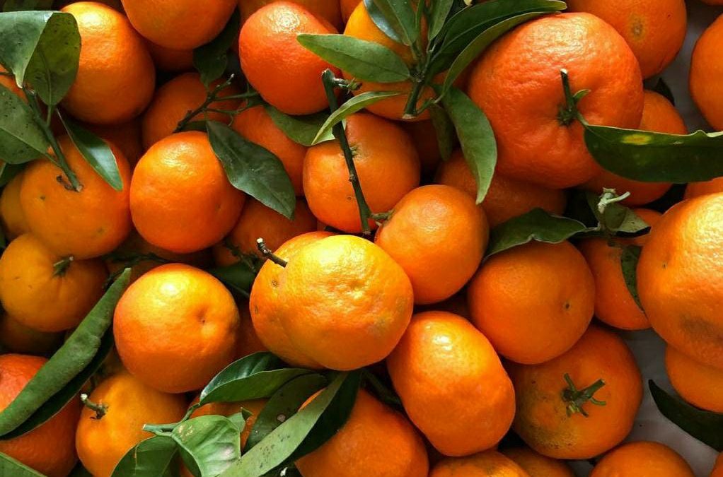 Beneficios de las mandarinas